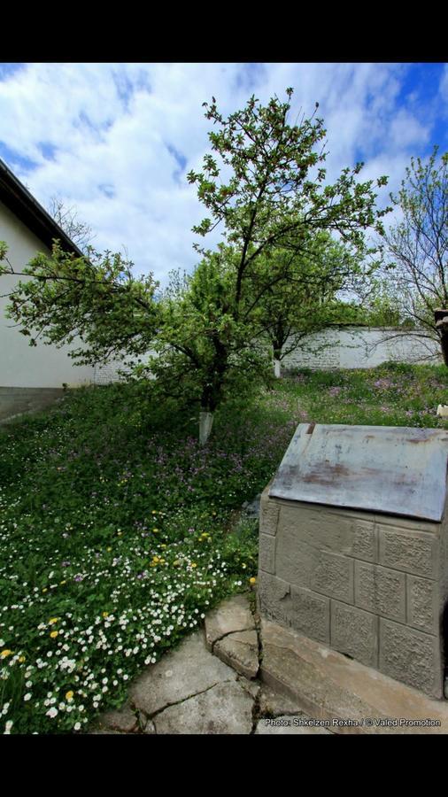 GjakovaBujtina Zhaveli住宿加早餐旅馆 外观 照片